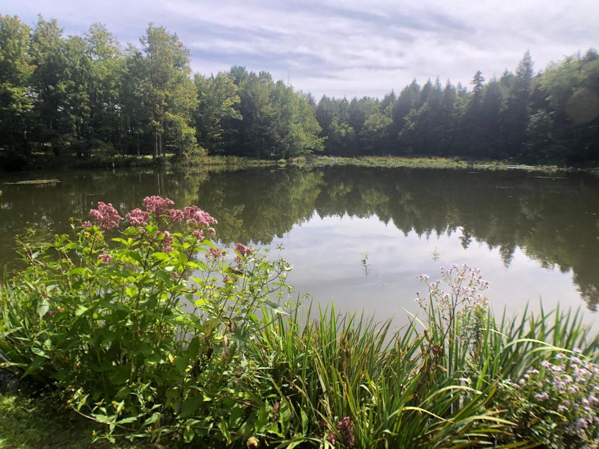 Mill Pond *